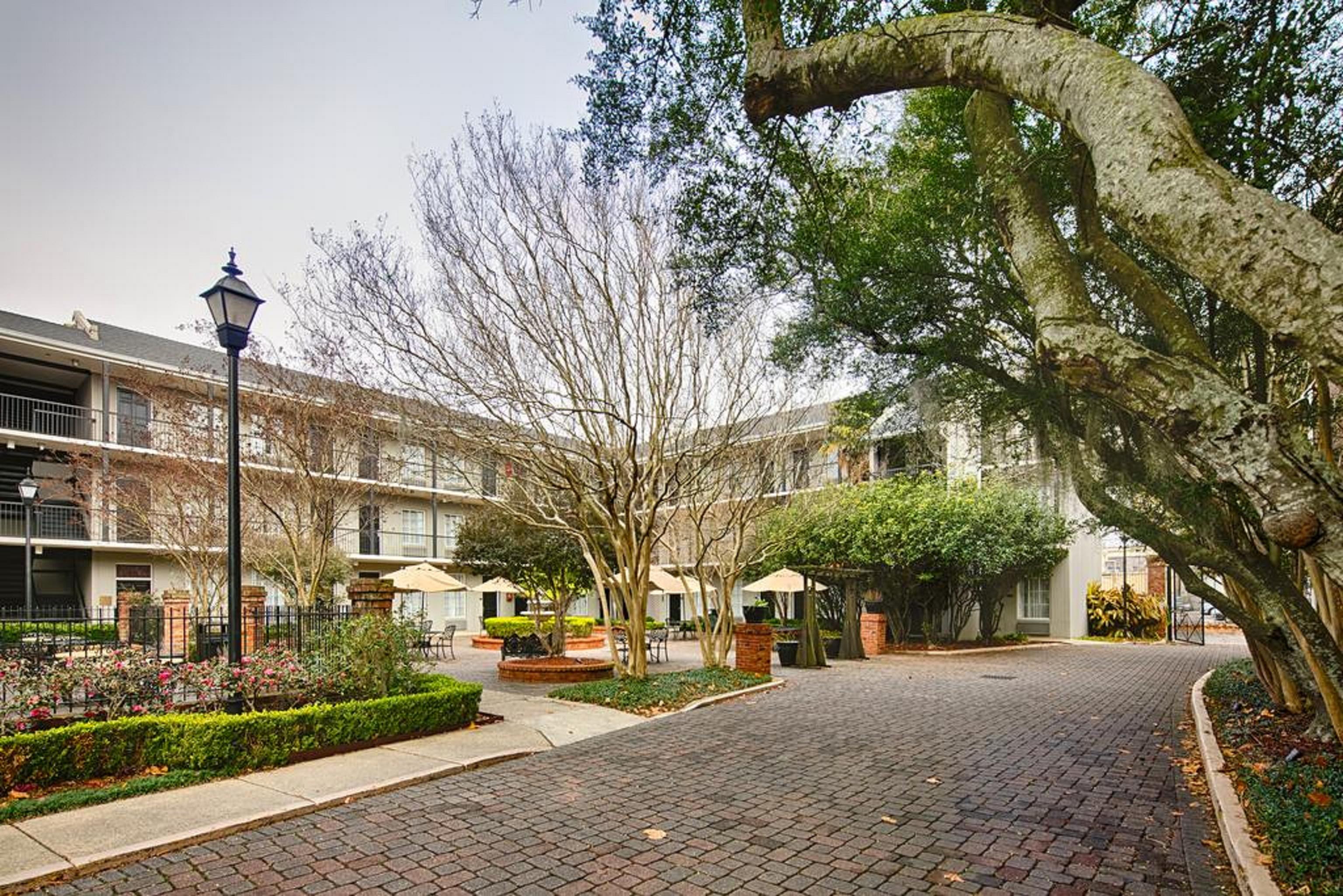 Maison Saint Charles New Orleans Exteriér fotografie